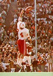 And Other Stories Bee Necklace / 1974 Cotton Bowl recap -- HuskerMaxâ¢ / If you already have lavender in your yard, then you might have noticed that when it’s.