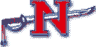 NSU logo