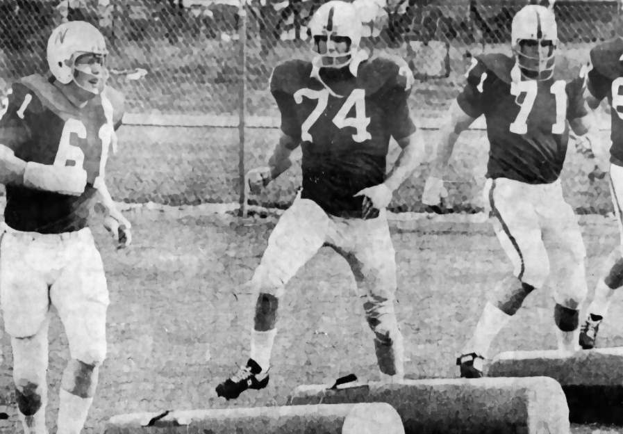Bob Newton #74